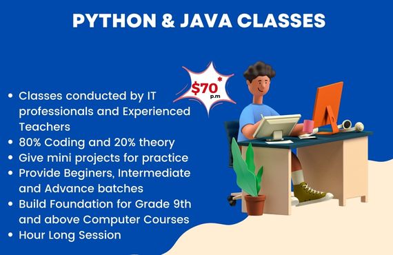 Online Python and Java Classes