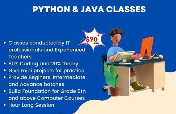 Online Python and Java Classes
